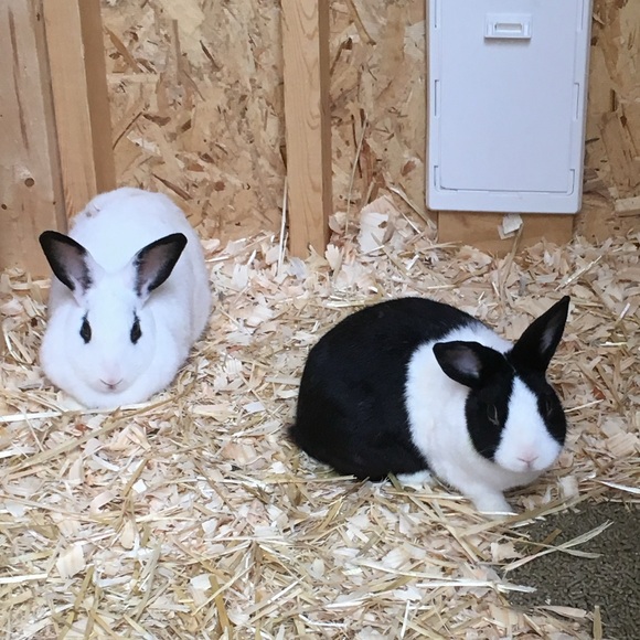 Hop on in for Added Discounts! - Picture 5 of 16